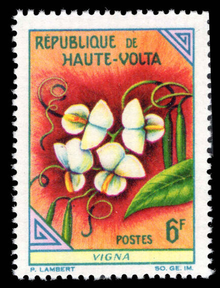 Upper Volta 1963 6f Vigna unmounted mint.