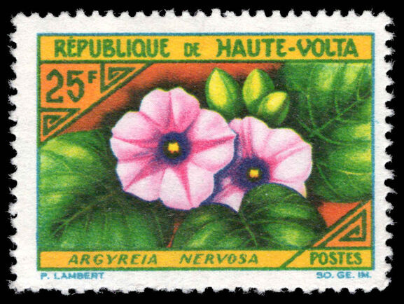 Upper Volta 1963 25f Argyreia nervosa unmounted mint.