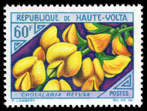 Upper Volta 1963 60f Crotalaria retusa unmounted mint.