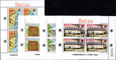 Belize 1983 Commonwealth Day sheetlets fine used.