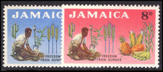 Jamaica 1963 Freedom from Hunger unmounted mint.
