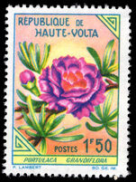 Upper Volta 1963 1f50 Portulaca grandiflora unmounted mint.