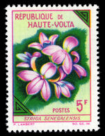 Upper Volta 1963 5f Striga senegalensis unmounted mint.