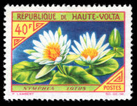 Upper Volta 1963 40f Nymphea lotus unmounted mint.