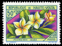 Upper Volta 1963 50f Plumeria alba unmounted mint.