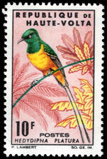 Upper Volta 1965 10f Pygmy Sunbird unmounted mint.