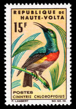 Upper Volta 1965 15f Olive-bellied sunbird unmounted mint.