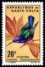 Upper Volta 1965 20f Splendid sunbird unmounted mint.